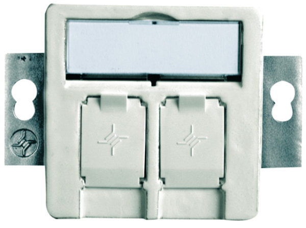 Modulaufnahme AMJ 2-fach UP/50 alpinweiß inkl. 2 AMJ Module K Cat.6A T568A (Telegärtner J00020A0518)