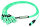 MPO Harness 12x2,1mm OM3 12LC MM 10,0m; type A, MPOm+LC MM aqua (Telegärtner L00835A0026)