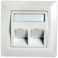 Modul-Aufnahme 80x80 2-fach Up/50 BR alpinweiß...