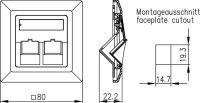 Modul-Aufnahme 80x80 2-fach Up/50 BR alpinweiß...