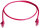 PATCHKABEL U/UTP CAT.5E 0,5M MP8 100, ROSE RAL 3017 (Telegärtner L00000E0065)