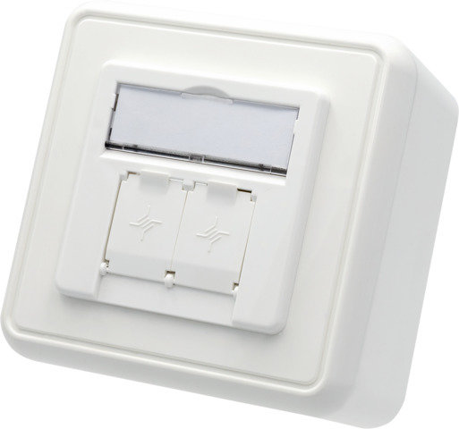 Modul-Aufnahme AP 80x80 2-fach 45° Auslass, alpinweiß, unbestückt (Telegärtner H02000A0109)