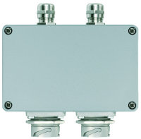 STX V1 Doppelanschlussdose (Telegärtner H82000A0008)