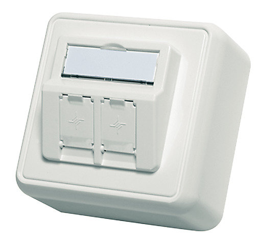 Modul-Aufnahme AP 80x80 2-fach 30° Auslass, alpinweiß, unbestückt (Telegärtner H02000A0092)