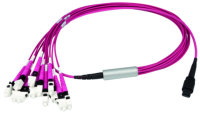 MPO Harness 12x2,1mm OM4 12LC MM 10,0m; type A, MPOm+LC...