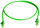 Patchkabel U/UTP Cat.6, 0,5m MP8 250, LSZH, grün RAL 6024, 1:1 (Telegärtner L00000A0288)