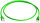 Patchkabel S/FTP Cat.6A (ISO/IEC), 10,0m MP8 FS500, LSZH, grün, 1:1 (Telegärtner L00005A0028)