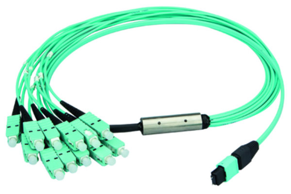 MPO Harness 12x2,1mm OM3 12SC MM 10,0m; type A, MPOm+SC MM aqua (Telegärtner L00835A0027)