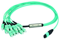 MPO Harness 12x2,1mm OM3 12SC MM 1,0m; type A, type A,...