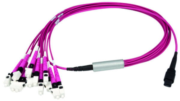 MPO Harness 12x2,1mm OM4 12SC MM 3,0m; type A, MPOm+SC MM schwarz (Telegärtner L00832A0029)