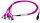 MPO Harness 12x2,1mm OM4 12SC MM 3,0m; type A, MPOm+SC MM schwarz (Telegärtner L00832A0029)