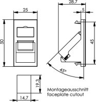 Faceplate 45°, 25x50 with shutter, white...