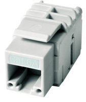 UMJ-Modul K Class EA 500 T568B alpinweiß, 2er Pack...
